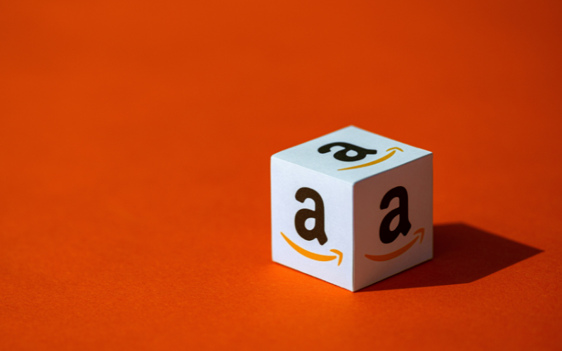 Amazon – The “Necessary Evil”?