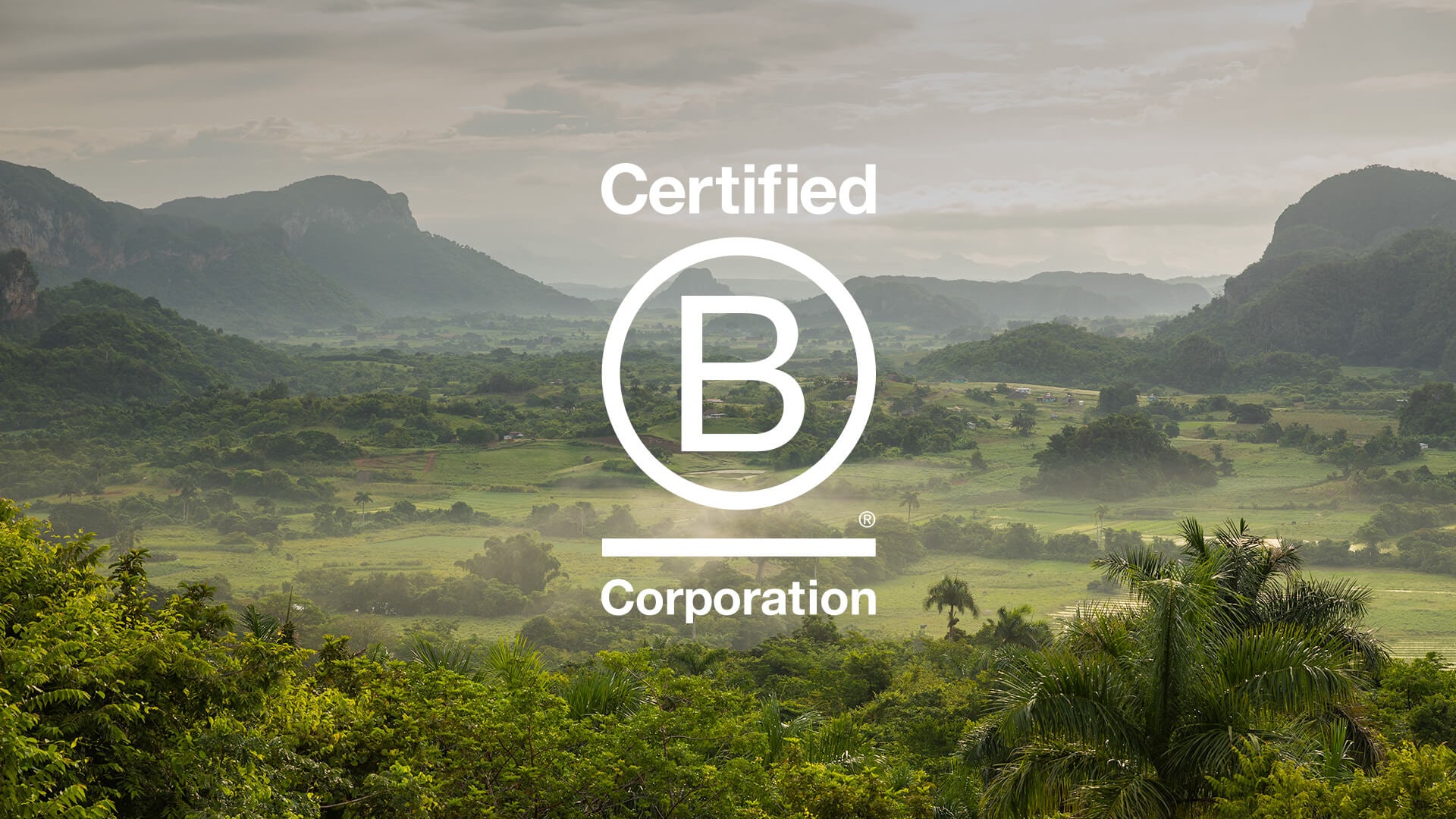 Unlocking Success for B-Corp: A Tailored Approach to Affiliate Marketing
